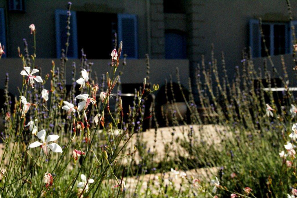 La Cabriere Country House Франсхук Экстерьер фото